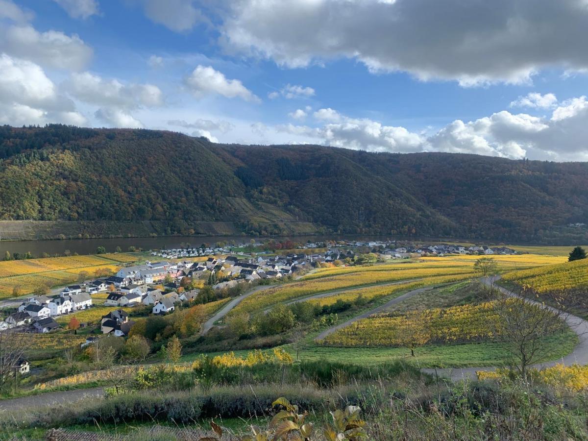 Apartmán Moselglueck Polich Exteriér fotografie