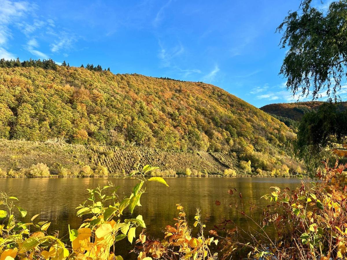 Apartmán Moselglueck Polich Exteriér fotografie