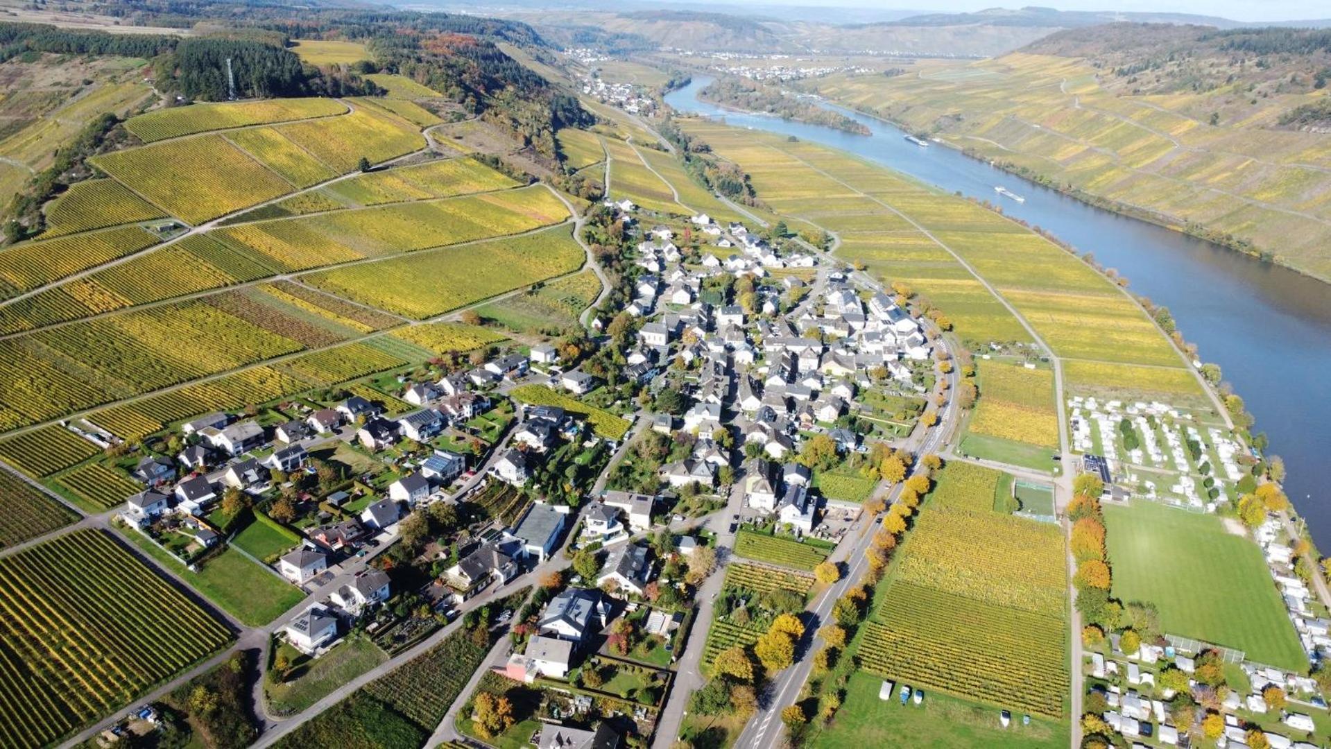 Apartmán Moselglueck Polich Exteriér fotografie